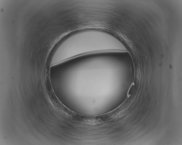 X0000082960540200702011115