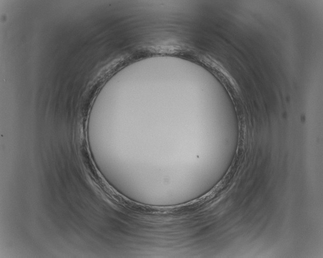 X0000082960541200702011115
