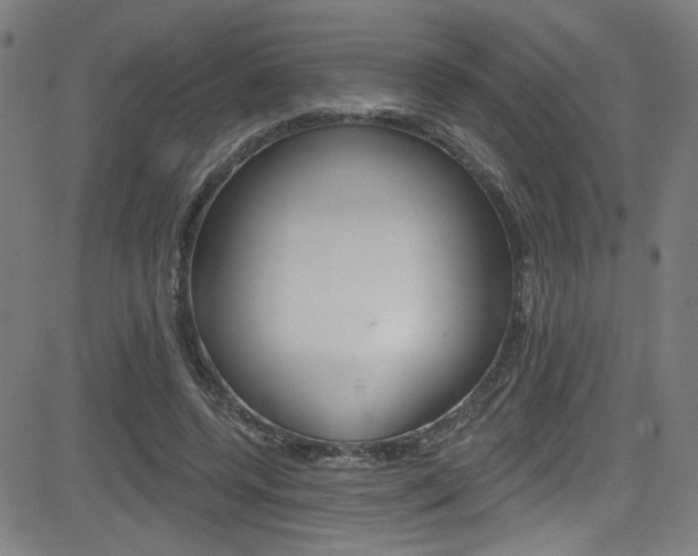X0000082960544200702011115