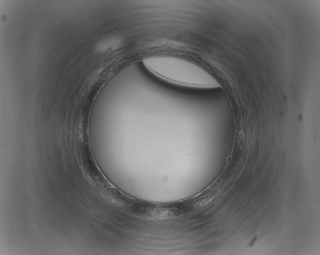X0000082960547200702011115