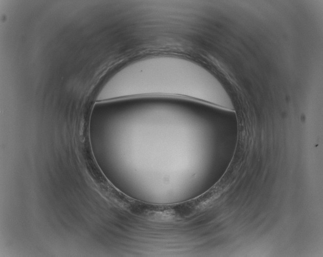 X0000082960548200702011115
