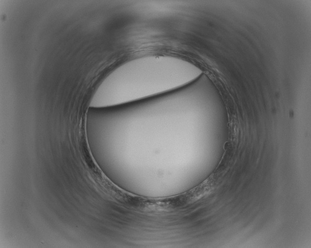 X0000082960550200702011115