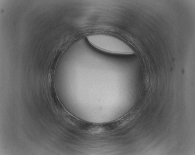 X0000082960551200702011115