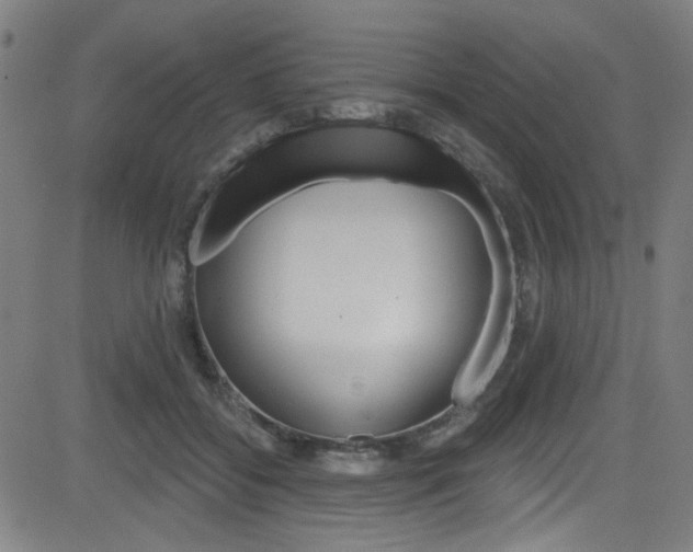 X0000082960556200702011115