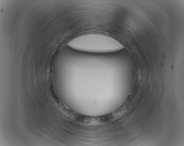 X0000082960559200702011115