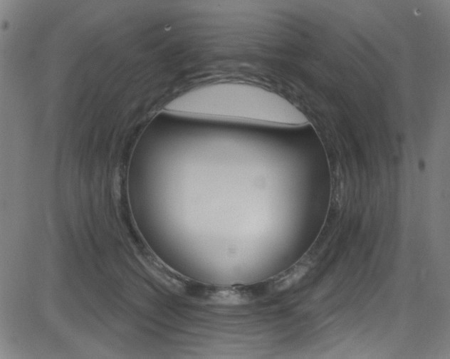 X0000082960562200702011115