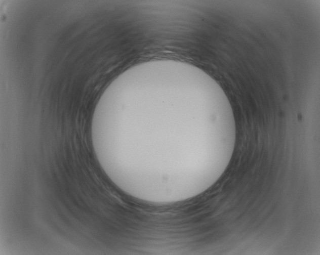 X0000082960566200702011116