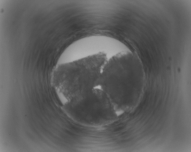 X0000082960569200702011116