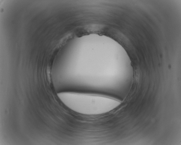X0000082960575200702011116