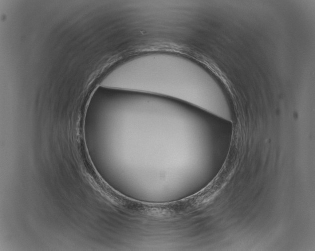 X0000082960585200702011115