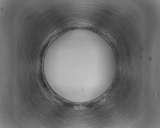 X0000082960591200702011115