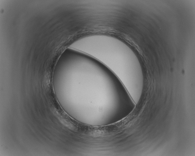 X0000082960593200702011115