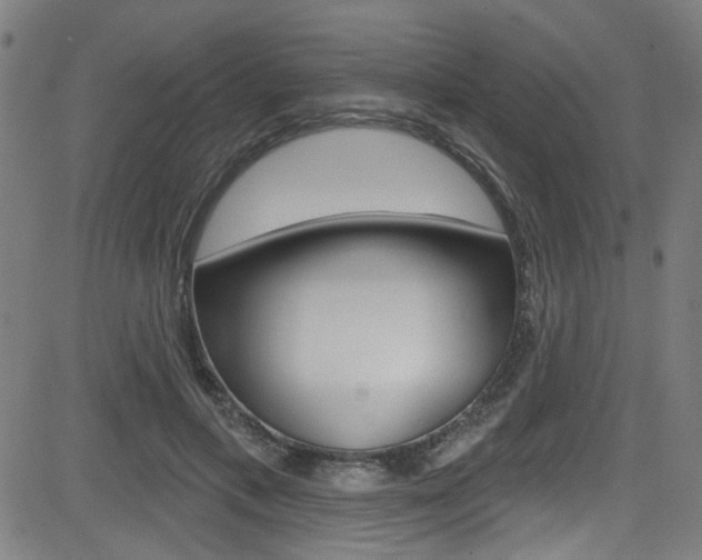 X0000082960597200702011115