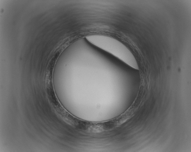 X0000082960599200702011115