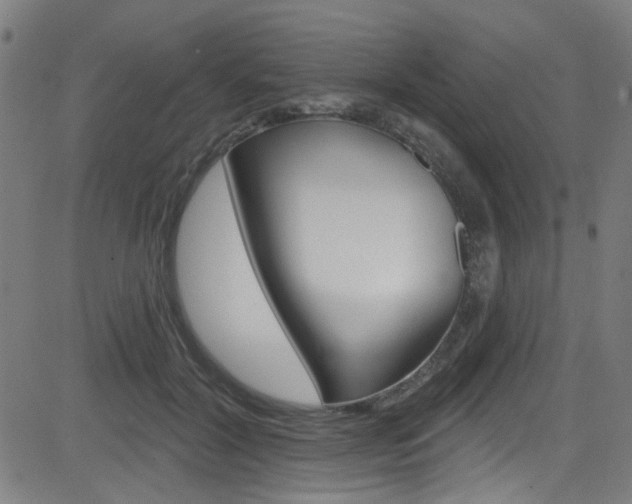 X0000082960604200702011114