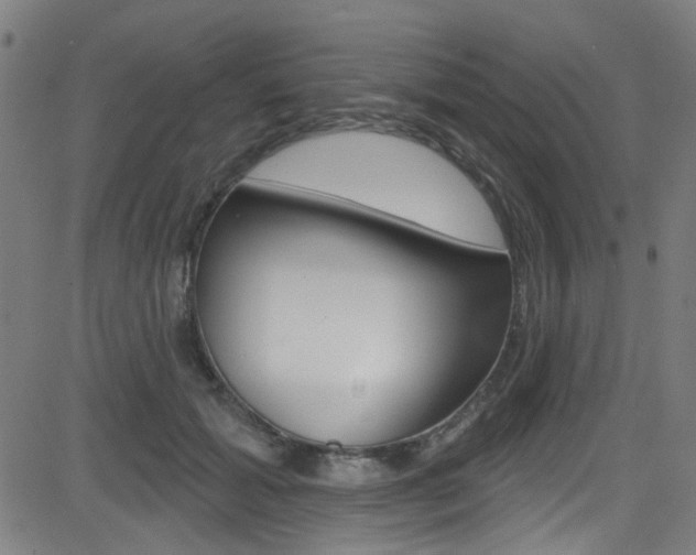 X0000082960605200702011114