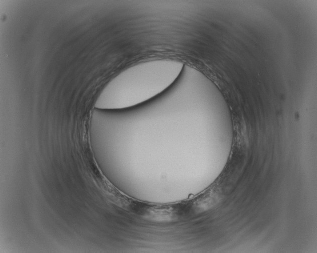 X0000082960606200702011114