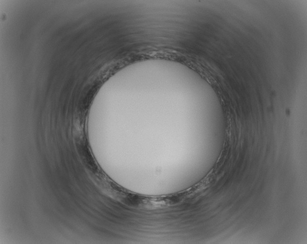 X0000082960607200702011114