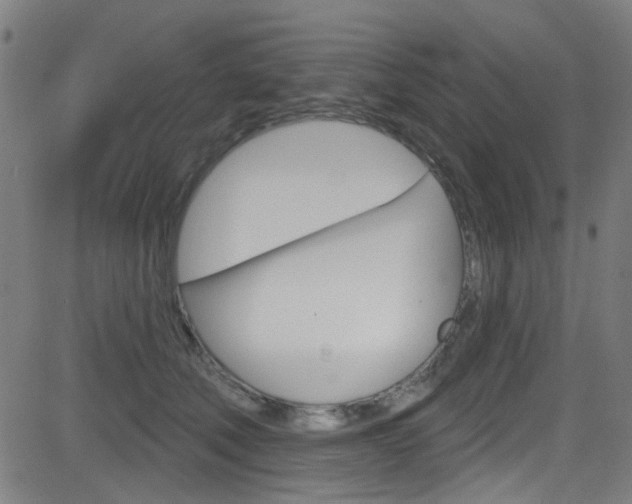 X0000082960610200702011114