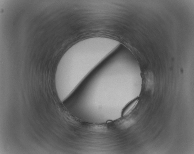 X0000082960619200702011114
