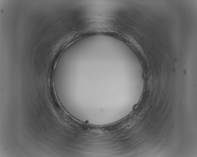 X0000082960635200702011113