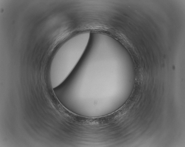 X0000082960640200702011114