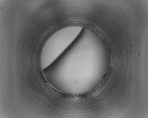 X0000082960646200702011114