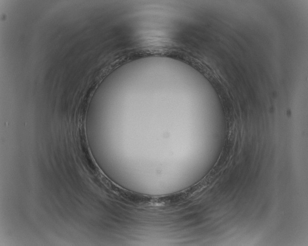 X0000082960647200702011114