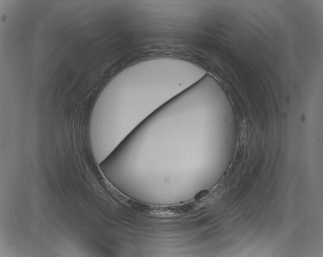 X0000082960650200702011114