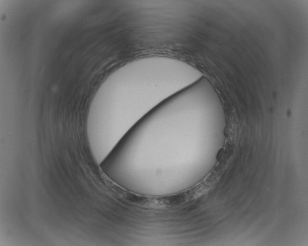 X0000082960656200702011114