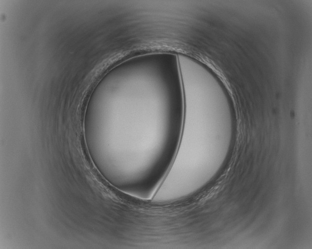 X0000082960673200702011113