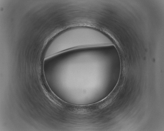 X0000082960677200702011113