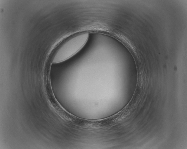 X0000082960680200702011113