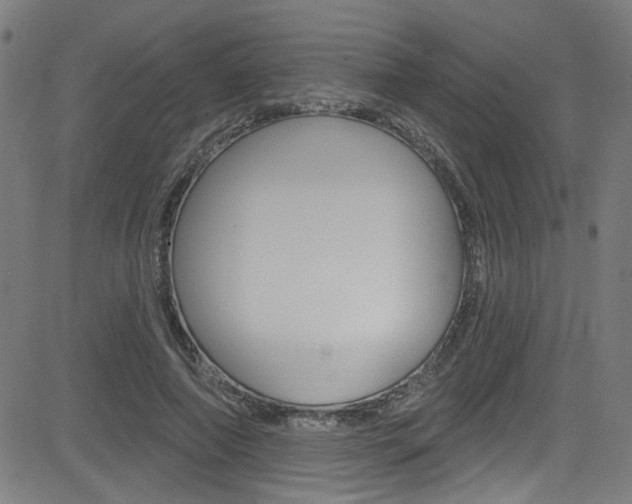 X0000082960690200702011113
