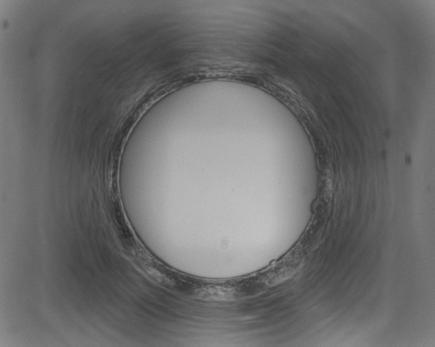 X0000082960691200702011113