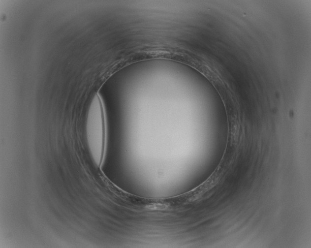 X0000082960700200702011113