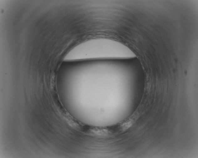 X0000082960712200702011113