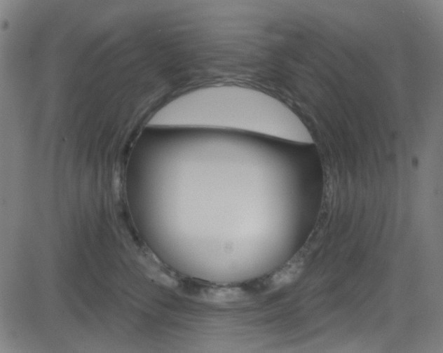 X0000082960716200702011113