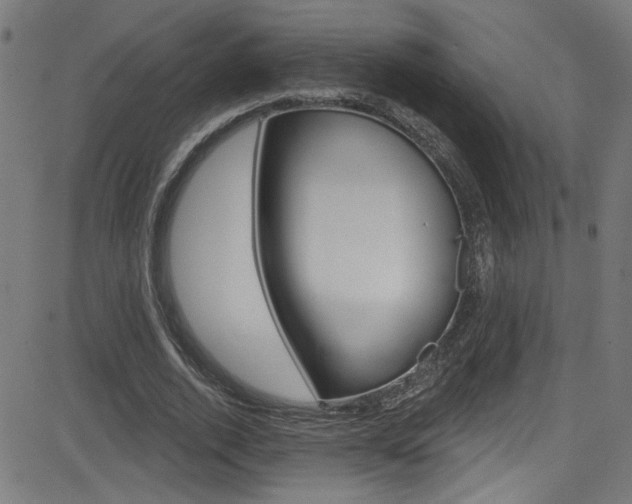 X0000082960728200702011112