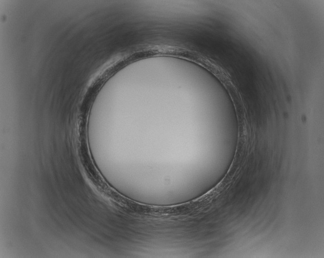 X0000082960730200702011112
