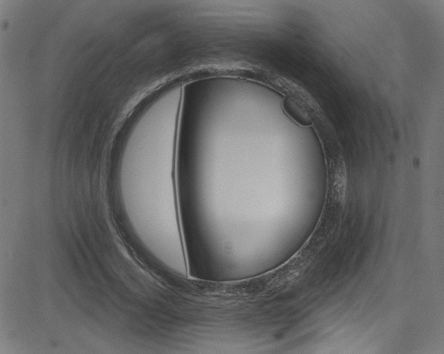 X0000082960732200702011112