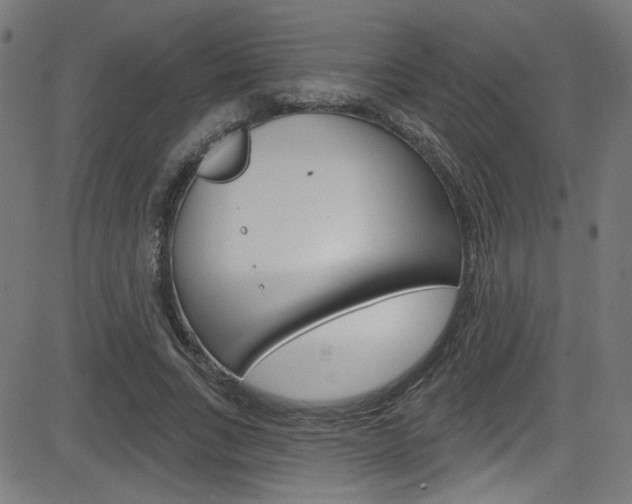 X0000082960735200702011112