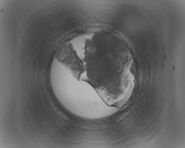X0000082960737200702011112