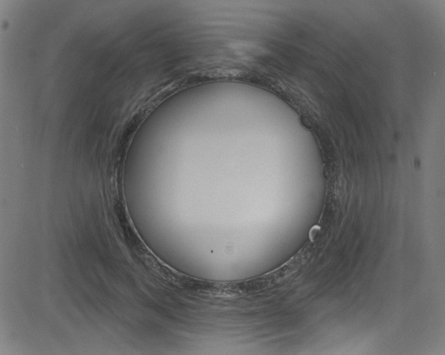 X0000082960743200702011112
