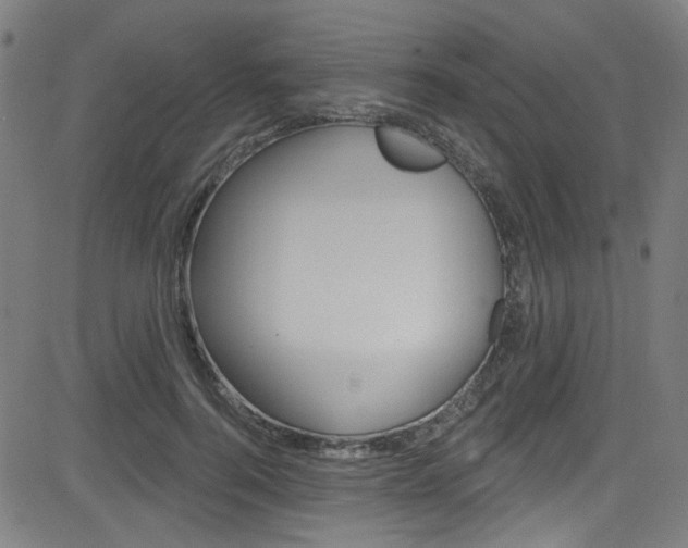 X0000082960744200702011112