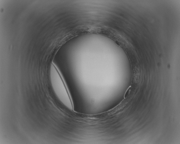 X0000082960748200702011112