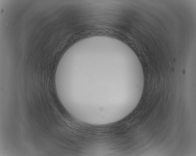 X0000082960750200702011112