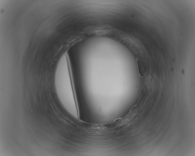 X0000082960752200702011112