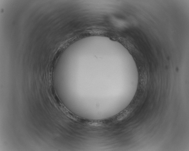 X0000082960755200702011112