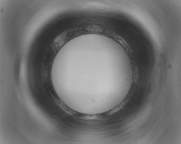 X0000082960765200702011112